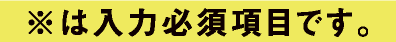 ※は入力必須項目です。