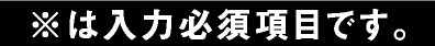 ※は入力必須項目です。