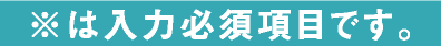 ※は入力必須項目です。